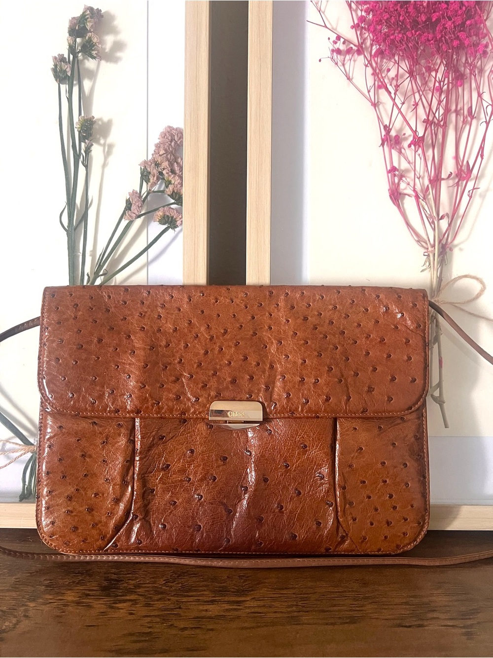 Chloé Vintage Genuine Ostrich Leather Crossbody Bag